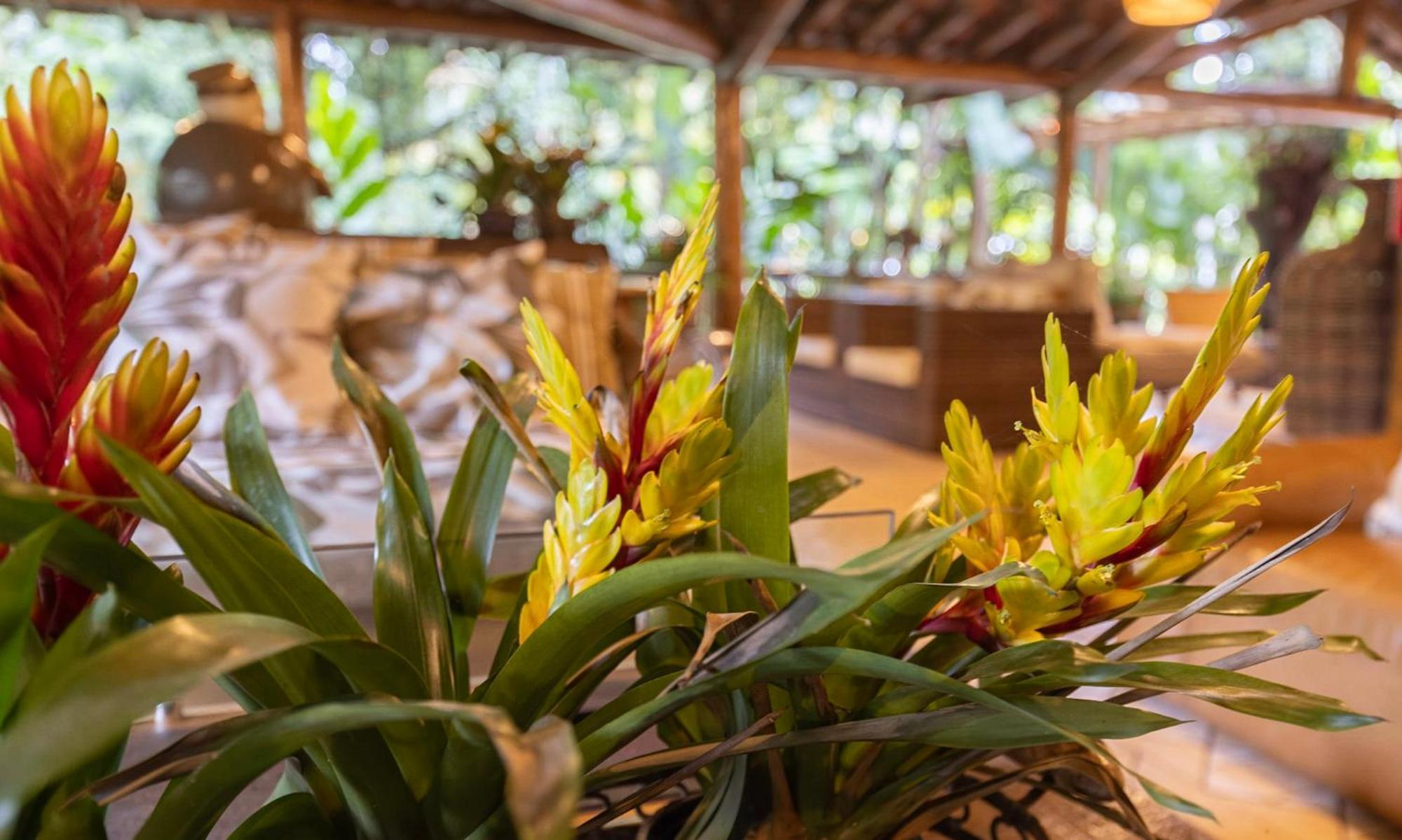 Itamambuca Eco Resort Ubatuba Eksteriør billede