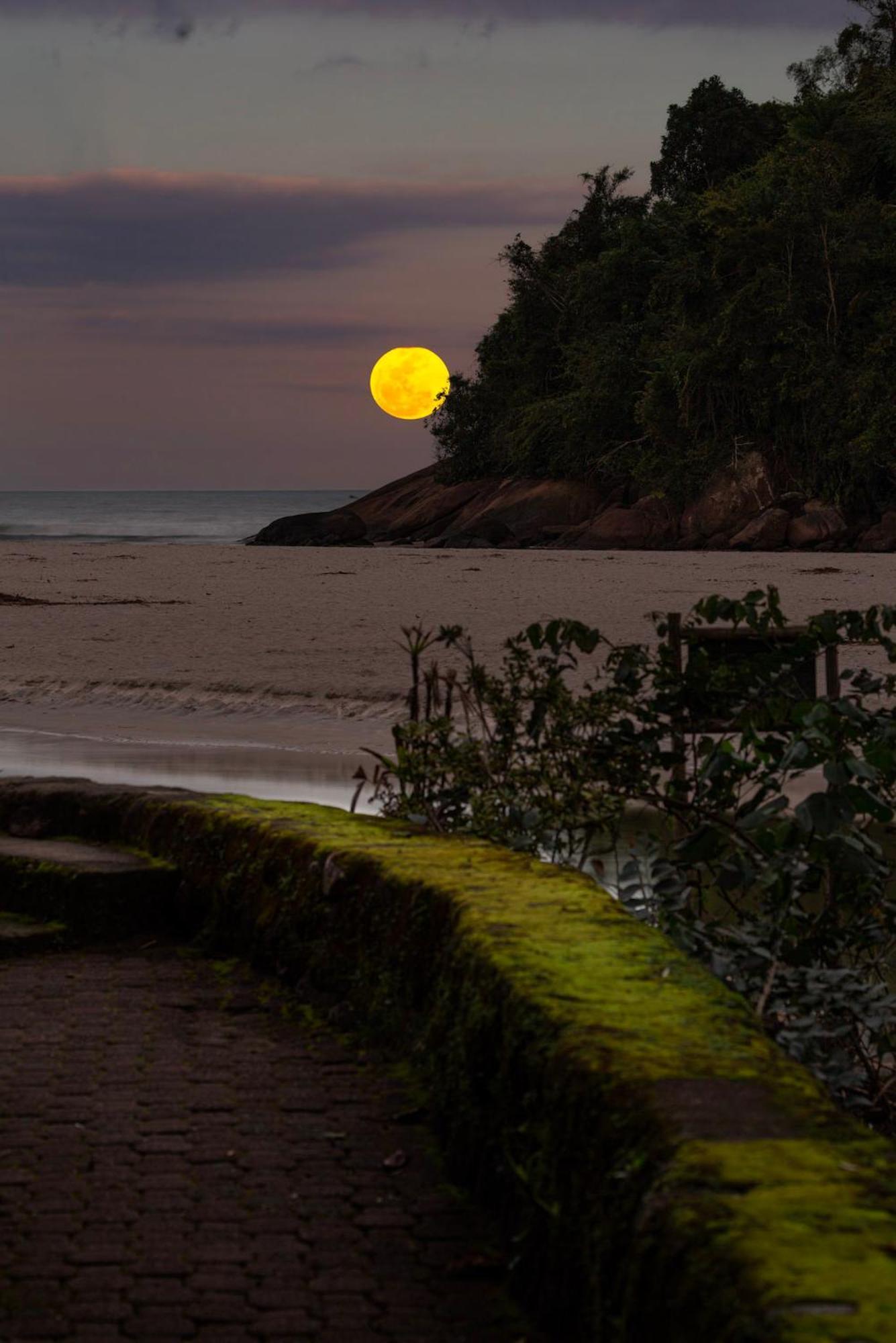 Itamambuca Eco Resort Ubatuba Eksteriør billede