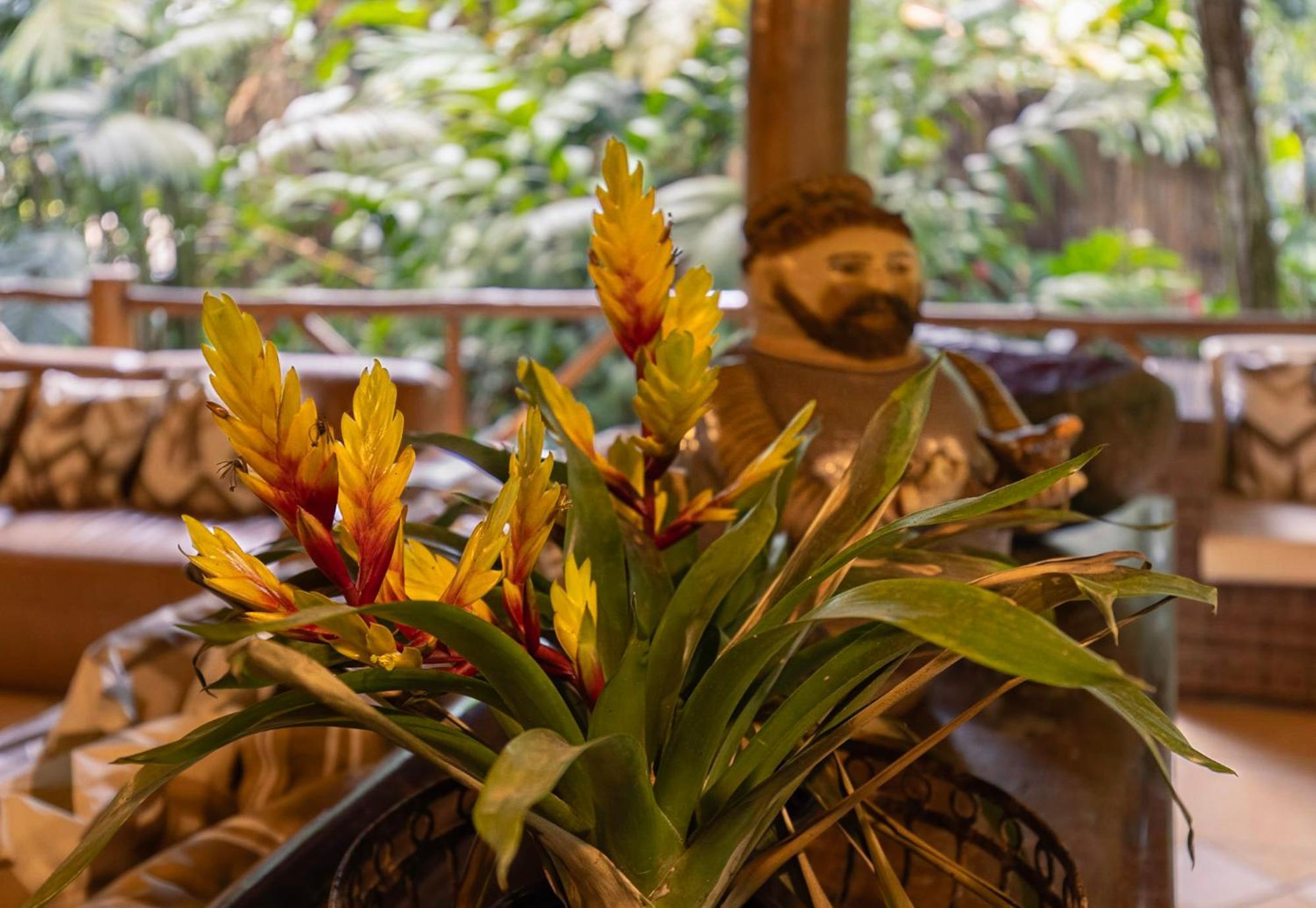 Itamambuca Eco Resort Ubatuba Eksteriør billede